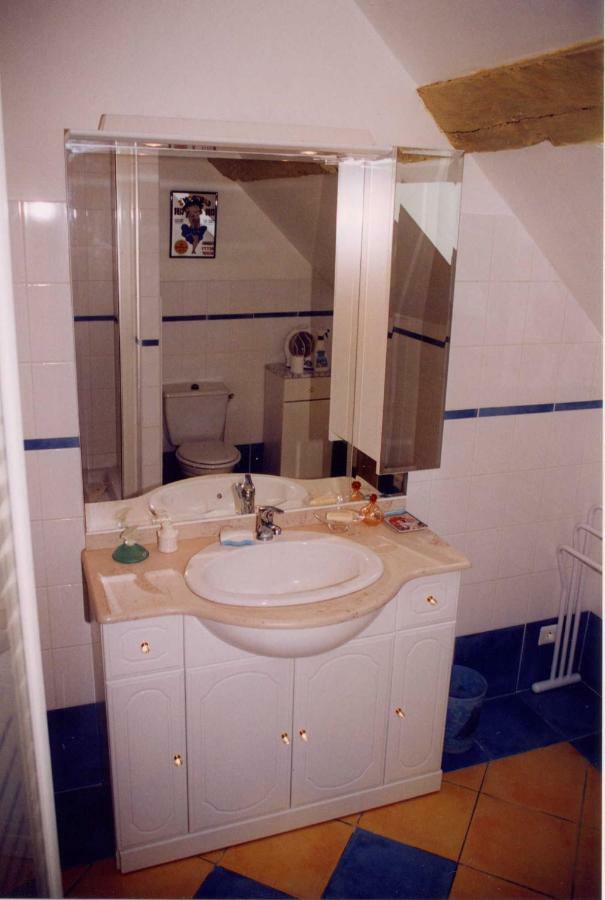 Gite Les Roseaux 123 Sologne Lassay-sur-Croisne Bagian luar foto